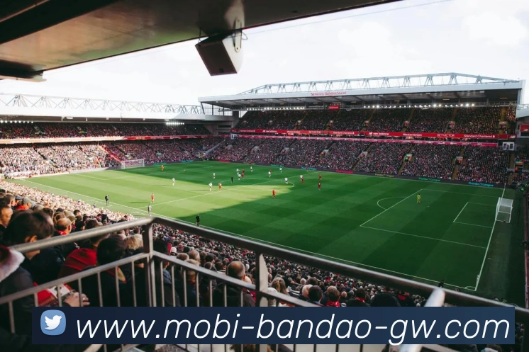 App Interface Preview