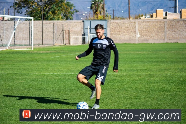 半岛体育APP 封面图