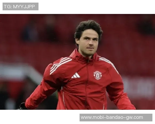 曼联计划引援中场目标锁定安德森沃顿和巴莱巴 曼联计划引援中场目标锁定安德森沃顿和巴莱巴