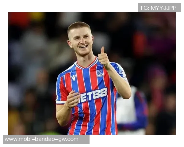 水晶宫队史最佳引援盘点约翰逊领衔本特克恩凯提亚格伊等名将入围 水晶宫队史最佳引援盘点约翰逊领衔本特克恩凯提亚格伊等名将入围